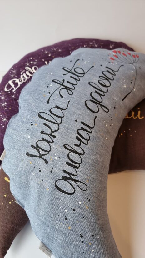 GRIĶU SPILVENS 8 AR TEKSTU "KAKLA STUTE GUDRAI GALVAI" DŽINSA KRĀSAS 28X60 CM